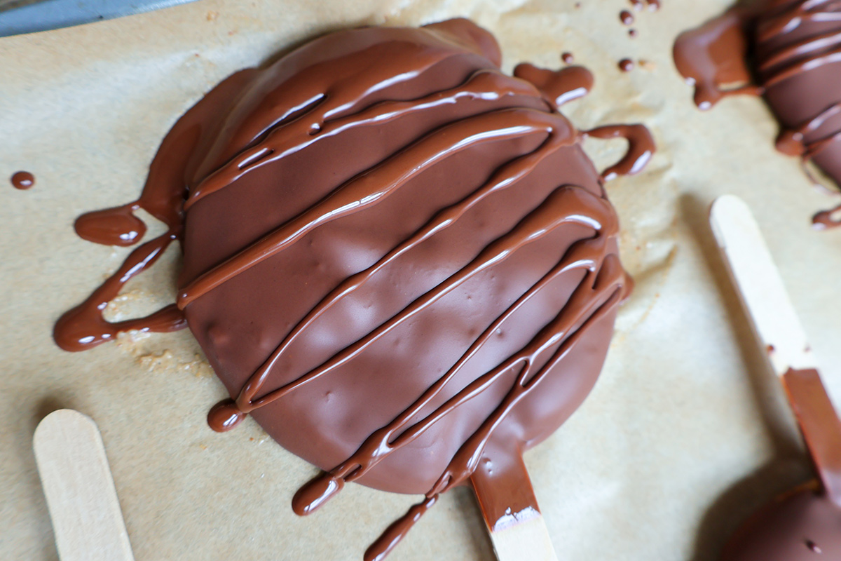 Overhead shot of chocolate covered yogurt bar