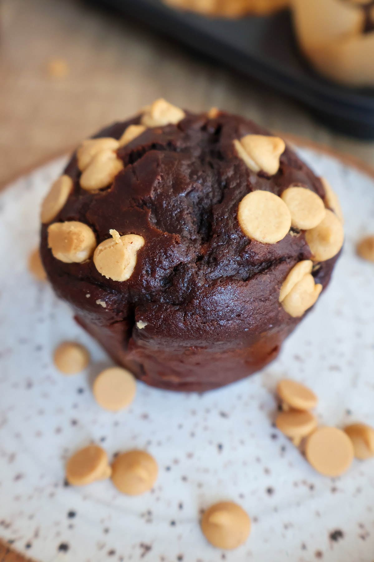 A chocolate muffin with peanut butter chips on a plate.