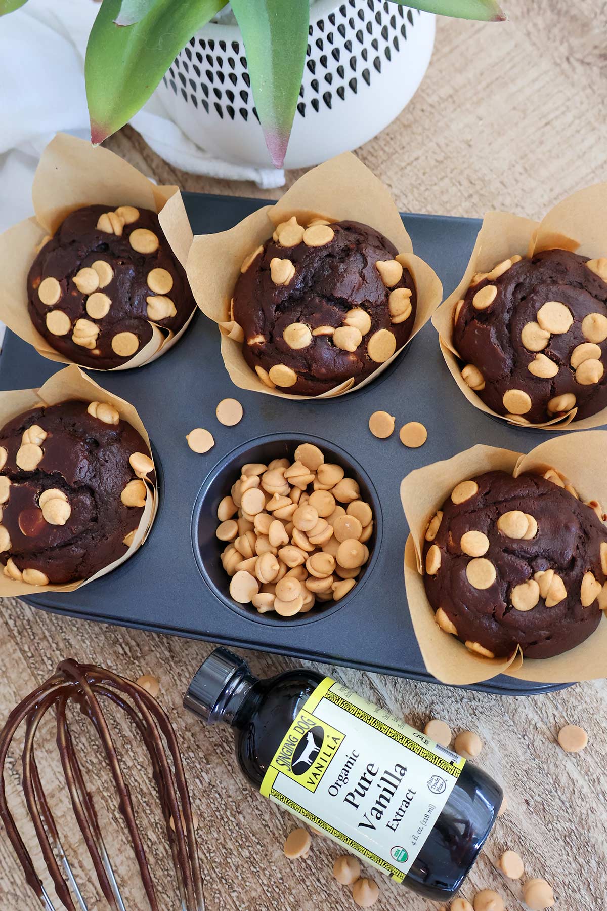 An overhead shot of chocolate peanut butter muffins in a muffin tin.