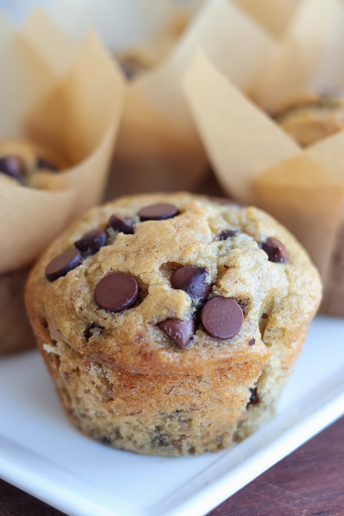 A chocolate chip banana muffin on a white plate.