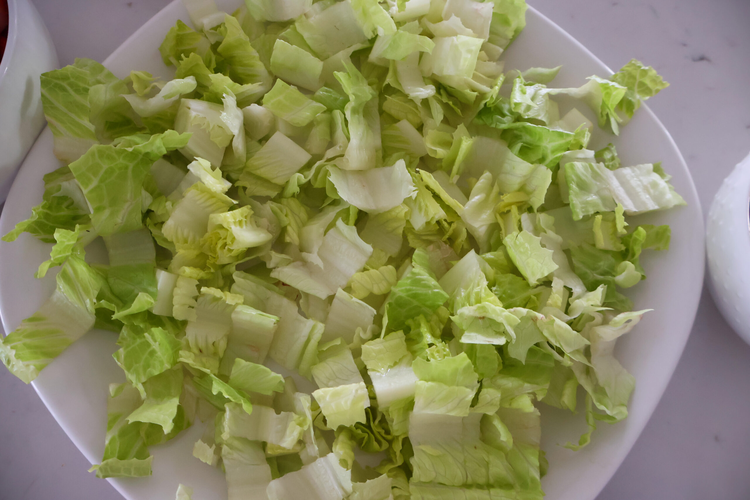 A white plate with iceberg lettuce on top.